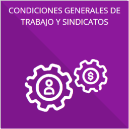 Las condiciones generales de trabajo, contratos o convenios que regulen las relaciones laborales del personal de base o de confianza, así como los recursos públicos económicos, en especie o donativos, que sean entregados a los sindicatos y ejerzan como recursos públicos