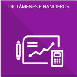 El resultado de la dictaminación de los estados financieros