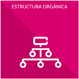 Su estructura orgánica completa, en un formato que permita vincular cada parte de la estructura, las atribuciones y reponsabilidades que le corresponden a cada servidor público, prestador de servicios porfesionales o miembro de los sujetos obligados, de conformidad con las disposiciones aplicables