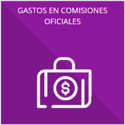 Los gastos de representación y viáticos, así como el objeto e informe de comisión correspondiente