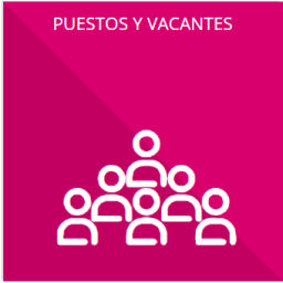 El número total de las plazas y del personal de base y confianza, especificando el total de las vacantes, por nivel de puesto, para cada unidad administrativa