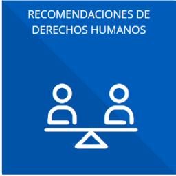 Las recomendaciones emitidas por los órganos públicos del Estado mexicano u organismos internacionales garantes de los derechos humanos, así como las acciones que han llevado a cabo para su atención