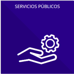 Los servicios que ofrecen señalando los requisitos para acceder a ellos