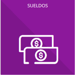 La remuneración bruta y neta de todos los Servidores Públicos de base o de confianza, de todas las percepciones, incluyendo sueldos, prestaciones, gratificaciones, primas, comisiones, dietas, bonos, estímulos, ingresos y sistemas de compensación, señalando la periodicidad de dicha remuneración